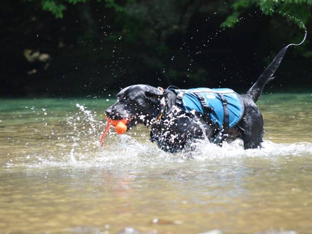 �y�ߐ{�G���A�E���_���΁z���B�ɂă{�[����f�B�X�N�ŗV�Ԃ��Ƃ��ł��܂�_�l�C�`���[�v���l�b�g