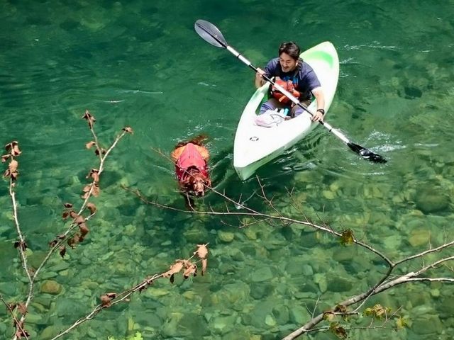 �y�ߐ{�G���A�E���_���΁z
�����ʂ��Đ�ꂪ�����܂���_�l�C�`���[�v���l�b�g