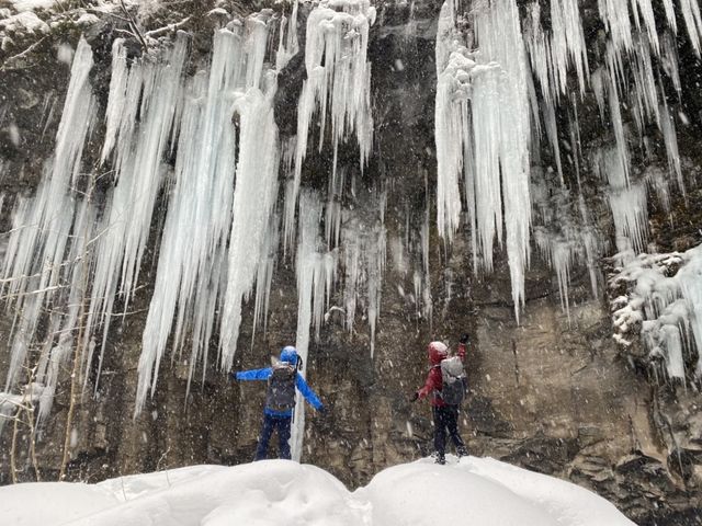 ���[��Ȑ�i�����Ă����ł��y�X�b�J����z_�l�C�`���[�v���l�b�g