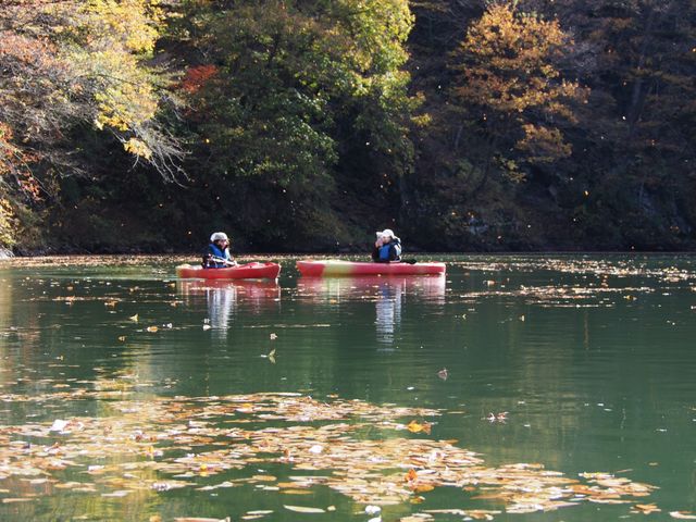 �J�k�[����g�t������Ȃ�Ēʂł��ˁ`_�l�C�`���[�v���l�b�g