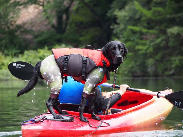 ��^�̃�����������ꂿ�Ⴂ�܂�_�l�C�`���[�v���l�b�g