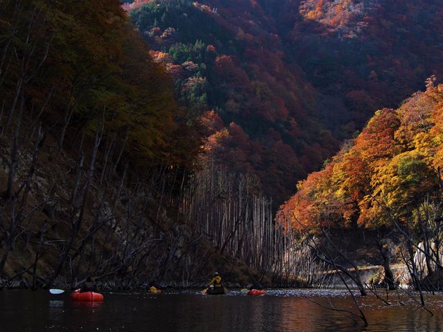 ���������Ȃ�
�y�J�Ó�����c�A�[�c�A�[�z_�l�C�`���[�v���l�b�g