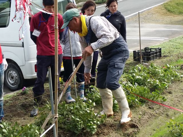 �_�ƃ��X�g�����@�܂˂��L�i�_�Ƒ̌��j