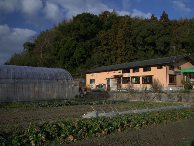 �_�ƃ��X�g�����@�܂˂��L�i�_�Ƒ̌��j