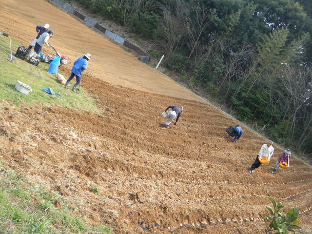 �_�ƃ��X�g�����@�܂˂��L�i�_�Ƒ̌��j