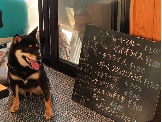 �a���ł̂�т肵�Ă�������_beach location