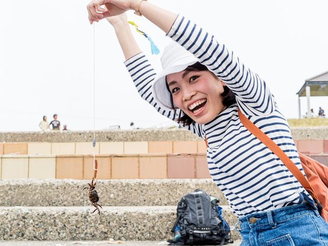 �l���� ��K�j�t�B�b�V���O_Green Blue ����