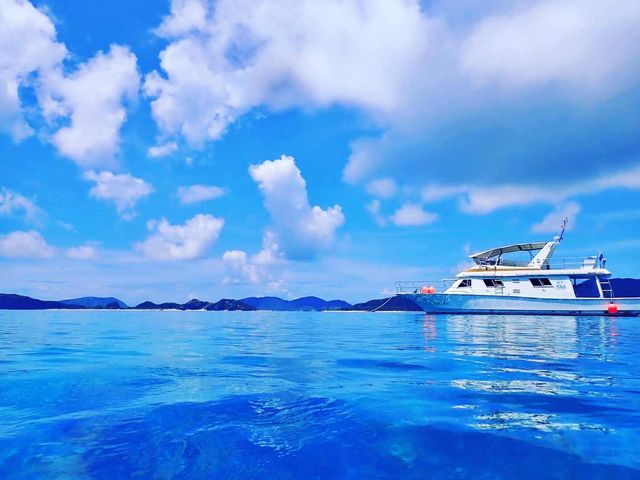 ���Ƃ��Ƃ񂱂�����đ��D���ɓ��������g���₷������̂��ɂ�����^�̃_�C�r���O��p�D�u���u�j�[�����v_�V�[�}�b�N�X�_�C�r���O�N���u����