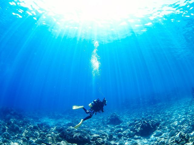 ���ߔe����͂P���c�A�[�ł����s���Ȃ��u�c�Ǌԏ����E�~�V��������c���G���A�v�̊���_�V�[�}�b�N�X�_�C�r���O�N���u����