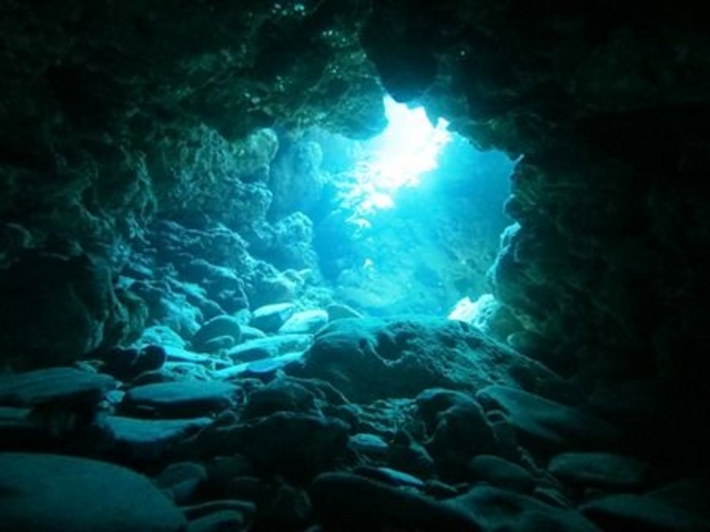 ���n�`���_�C�i�~�b�N�I���A��N���o�X��`����_�V�[�}�b�N�X�_�C�r���O�N���u����