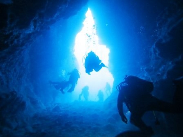 ���n�`���_�C�i�~�b�N�I���A��N���o�X��`����_�V�[�}�b�N�X�_�C�r���O�N���u����