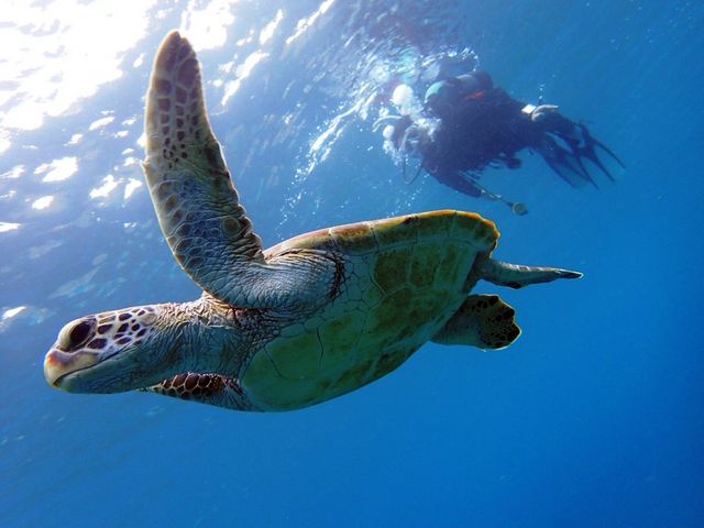 ���E�~�K���Ƃ̃����f�u�[�̓h�L�h�L��_�V�[�}�b�N�X�_�C�r���O�N���u����