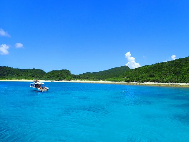 �������ɂ����Ȃ��F�����悤��_�V�[�}�b�N�X�_�C�r���O�N���u����