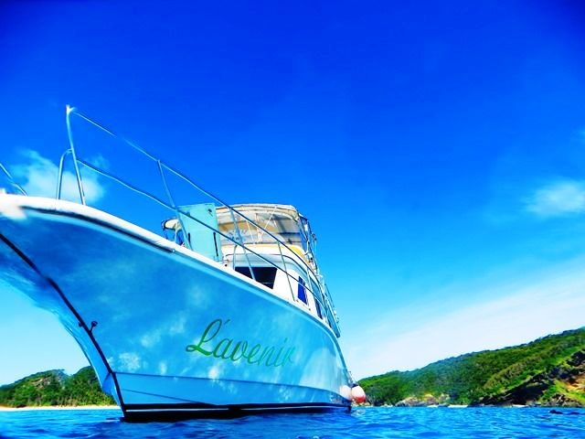 ���Ƃ��Ƃ񂱂�����đ��D���ɓ��������g���₷������̂��ɂ�����^�̃_�C�r���O��p�D�u���u�j�[�����v_�V�[�}�b�N�X�_�C�r���O�N���u����