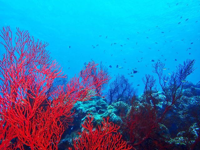 ���ߔe����͂P���c�A�[�ł����s���Ȃ��u�c�Ǌԏ����E�~�V��������c���G���A�v�̊���_�V�[�}�b�N�X�_�C�r���O�N���u����