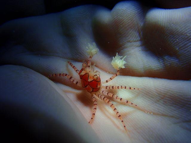 �|���|���J�j_�_�C�r���O�V���b�vBLUEZONE