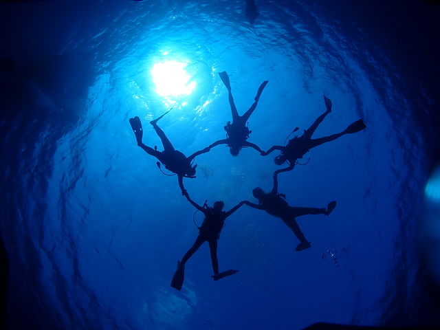 ���z�I���C�I����I�썑_�_�C�r���O�V���b�vBLUEZONE