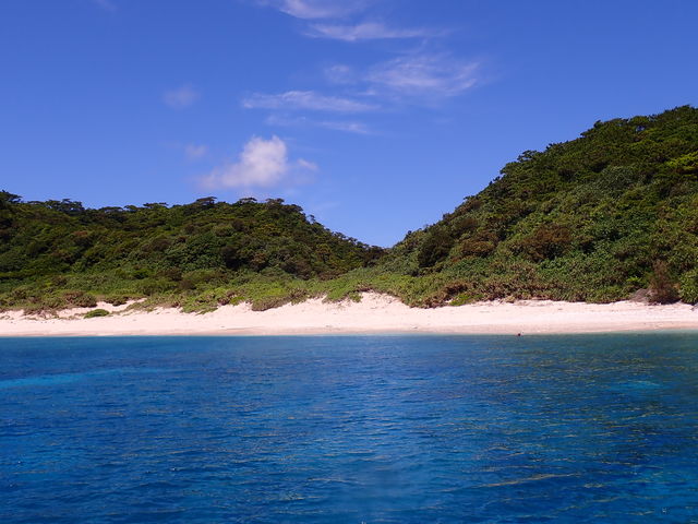 ���l��_�_�C�r���O�V���b�vBLUEZONE