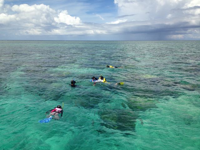 ̃y[XŔdRu[̐Ey݉B_\CV[