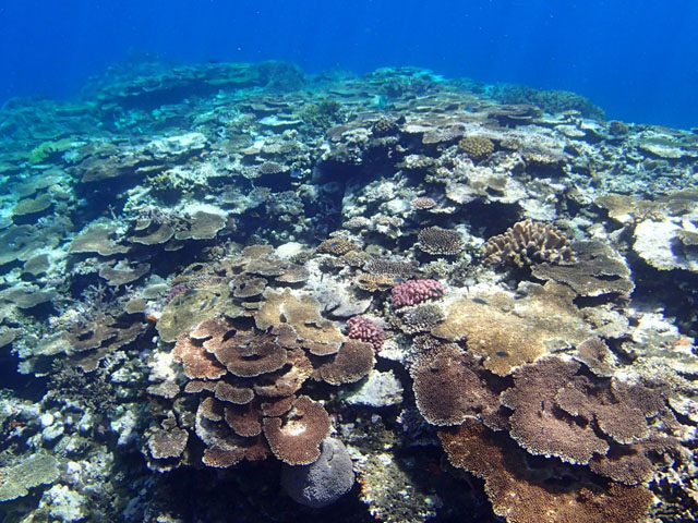 ǂ܂łe[uTS̐XɊI_\CV[