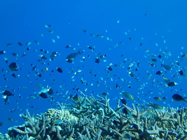 }TS̎ɂ̓JtȔMыI_\CV[