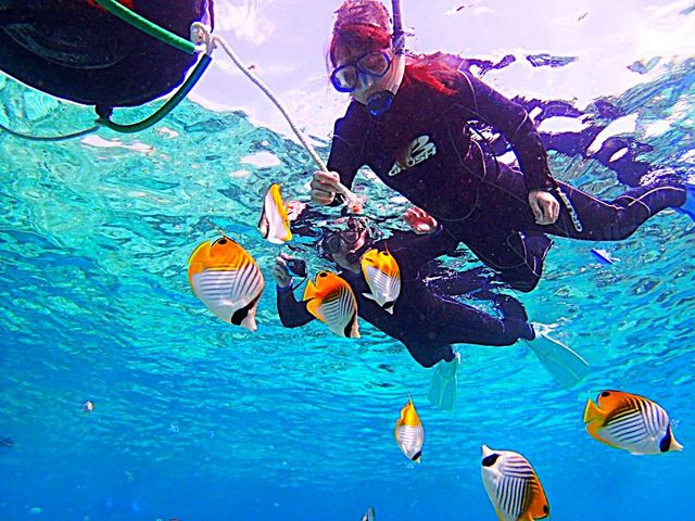 �J���t���ȔM�ы��������ς��B�썑�z���C�g�r�[�`�͎�ނ��L�x�ł��B_����l�C�`���[�R�[�f�l�[�g�E�A���_�S