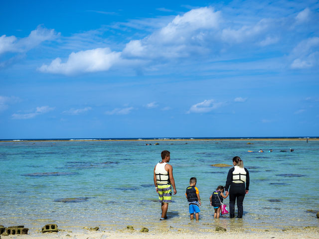 �T�}�[���]�[�g����