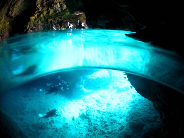 �T�}�[���]�[�g����