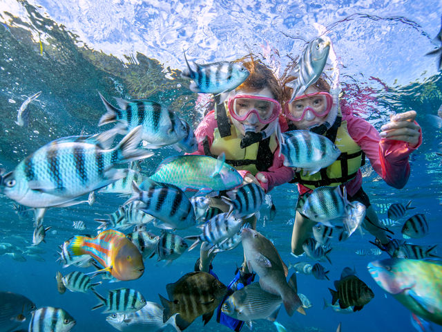 �T�}�[���]�[�g����