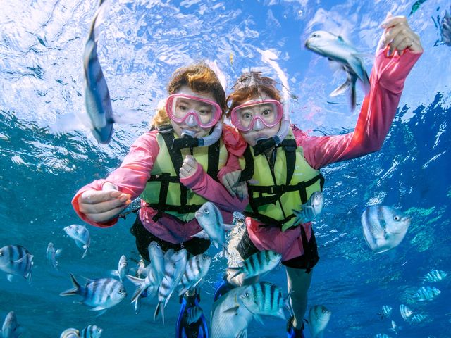 �T�}�[���]�[�g����