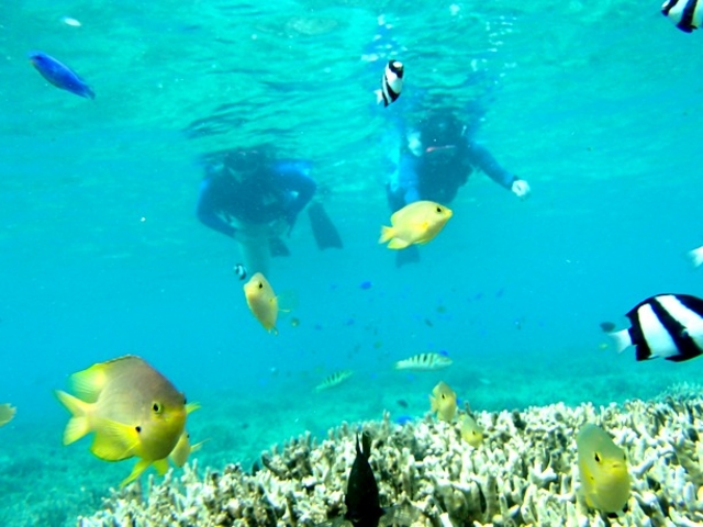 �����̃C�m�[_�����J���b�Nfuku