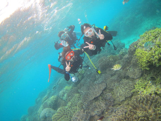 �r�[�`�_�C�r���O�ł������Y�킳�ł��I_�_�C�u�i�b�c