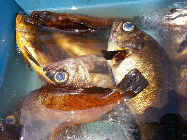 a_���u������@������