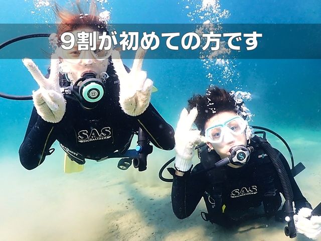 �_�C�r���O�V���b�v&�T�[�r�X �t���[�E�F�C���n�X