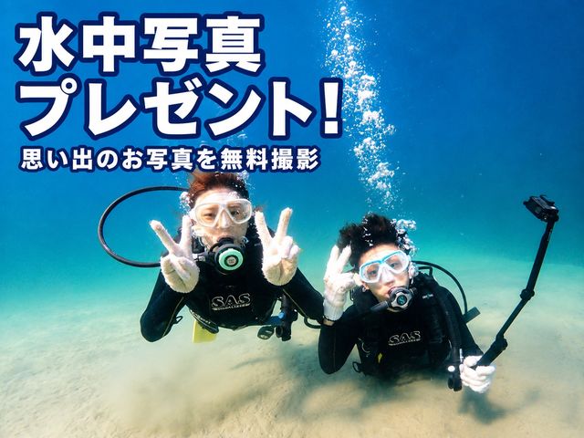 �����ł̂��ʐ^���X�^�b�t�������ŎB�e�B�v���o�̃f�[�^���v���[���g���Ă��܂�_�_�C�r���O�V���b�v&�T�[�r�X �t���[�E�F�C���n�X
