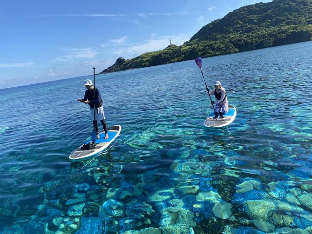 �I�K���U�L���A�̐F�Ƃ�ǂ�̃T���S��_�ɂ�����̂����ȐΊ_��