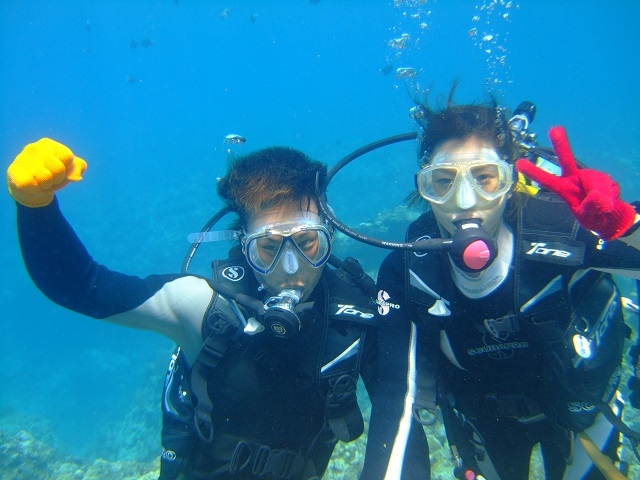 �_�C�r���O���o�����Ⴂ�܂��I_�C��كV�[�u���[��