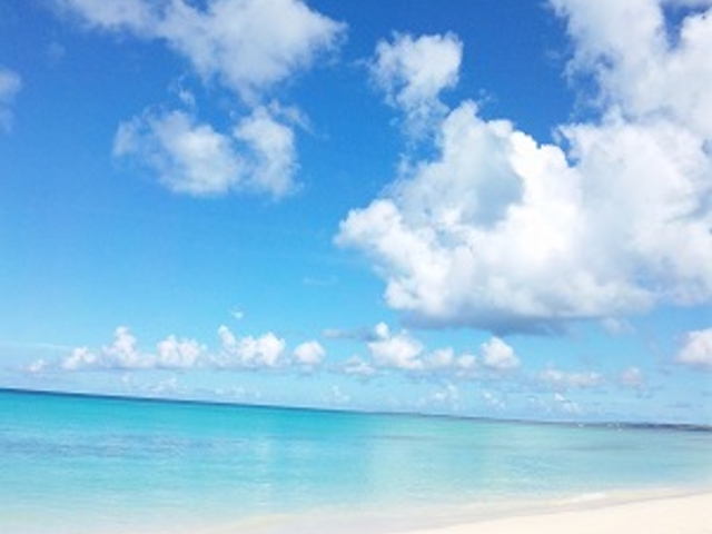 ���������܂��I�I_�C��كV�[�u���[��