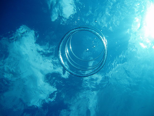 ����̊C���v�������薞�i�ł��܂���_�t���[�_���A�h�x���`���[ �����u���t�B�b�V��