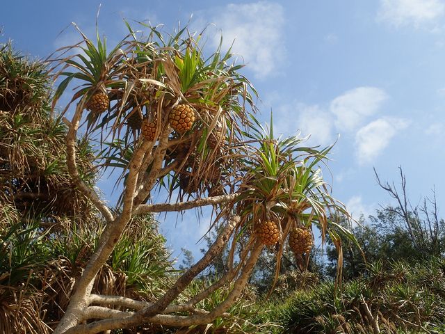 pCł͂܂I
łB_̓AĂ