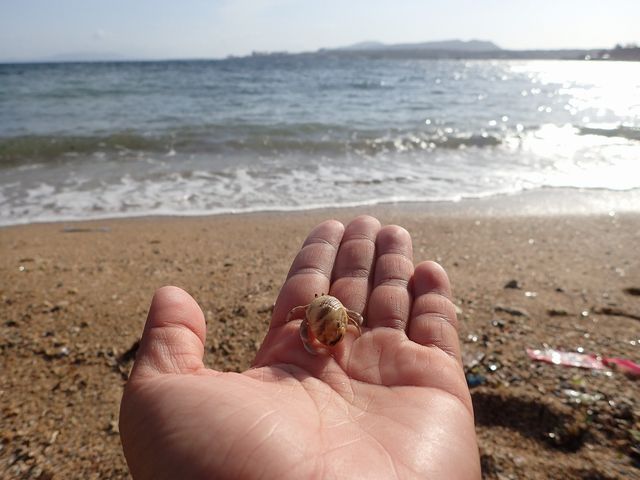 ڂ̑OR̃r[`Ȃł͂̊yݕ_̓AĂ