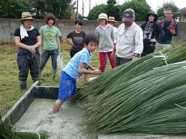 7���F�_�Ƒ̌��̗l�q�B�������������̕ϐF��h�����߂́A�D���ߍ�ƁB_������D��̌��@���R�Q�X�g�n�E�X������