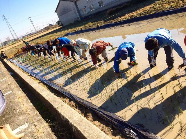 12���F�����A���t���B�^�~�̋Ɋ��̒��s���܂��B�݂�Ȃł��Ίy�����I_������D��̌��@���R�Q�X�g�n�E�X������