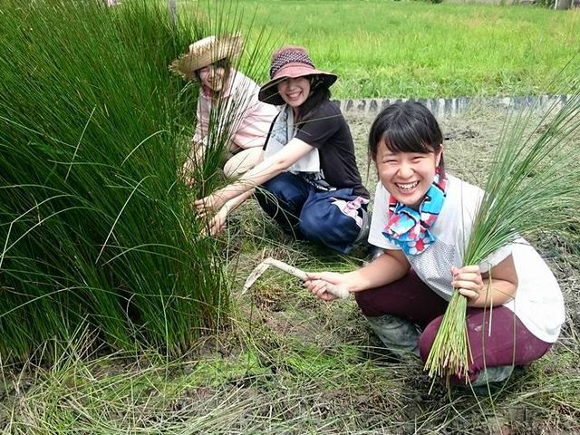 7���F���Ă̂���������I���N�����E�q�~�Ԃ����܂�̓��Ɏ��{�����Ă��܂��B_������D��̌��@���R�Q�X�g�n�E�X������