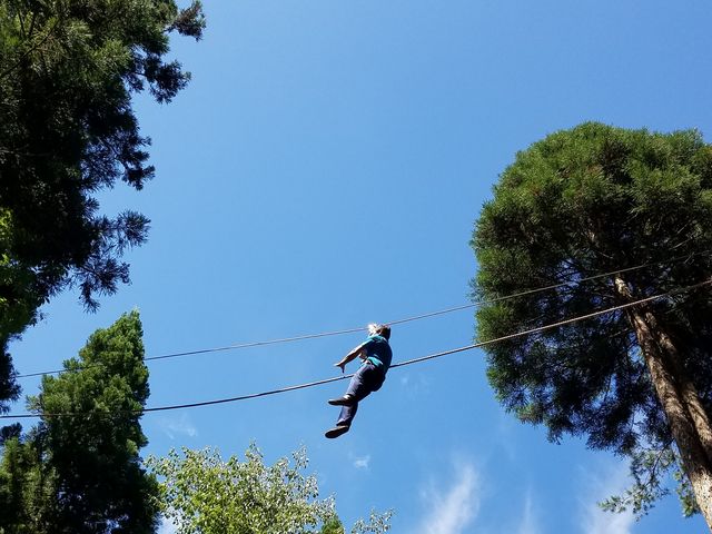 ɂtHXgAhx`[łB\񐧁@dbF080-2128-0320_݂̂Xь