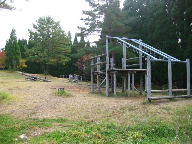 I[gLv̒ԏɂVij_݂̂Xь