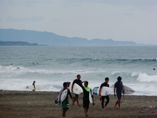 MULBERRYSURF