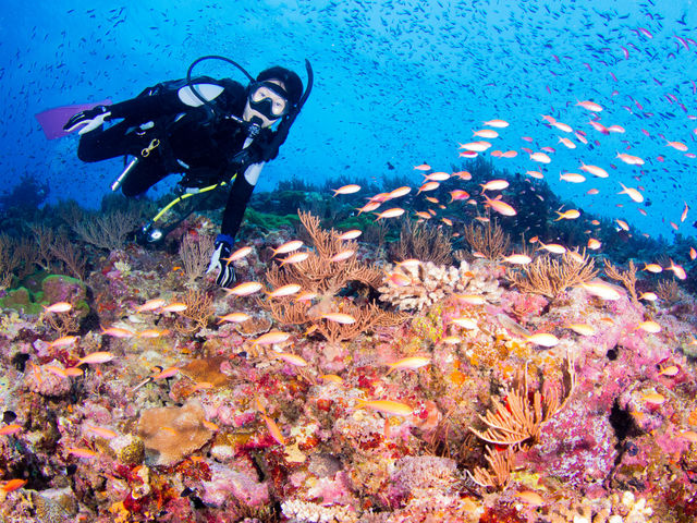 ������n���쓇�A�g���C�A���O���Ȃǂ����ē����Ă���܂��B_�A���t�@�_�C�u�k�J�X