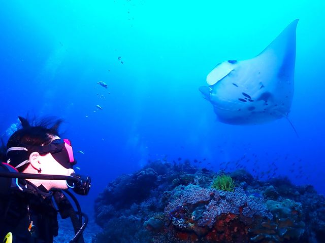 �啨��}���^�����߂邱�Ƃ�_�A���t�@�_�C�u�k�J�X