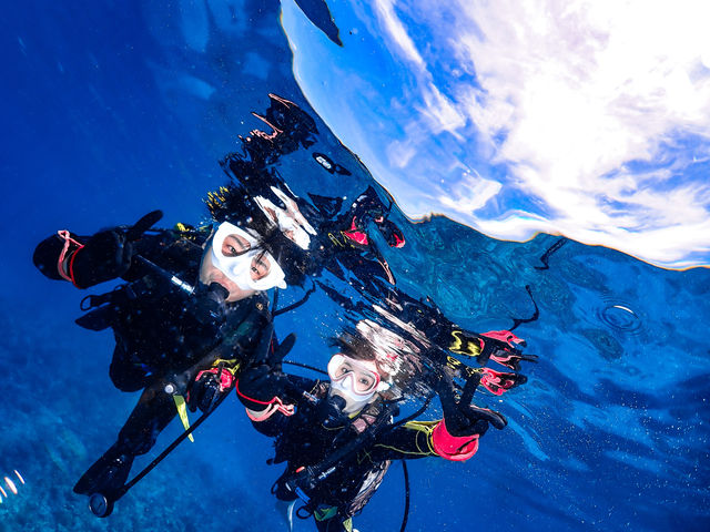 �̌��_�C�C���O�͍ō��̎v���o��_�A���t�@�_�C�u�k�J�X